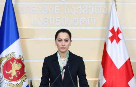 "ობიექტური ჭეშმარიტების დადგენა აღნიშნულ საქმესთან დაკავშირებით არის ჩვენი უმთავრესი მიზანი" - ნინო ცაციაშვილი