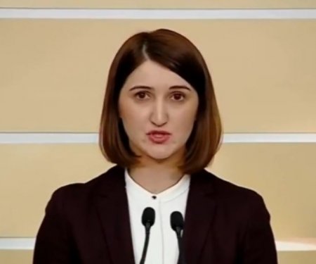 სახელმწიფო ინსპექტორ ლონდა თოლორაიას, რომელიც პროკურატურის და ძალოვანების საქმეებს იძიებს, ქმარი პროკურორი ჰყავს, ძმა კი - ძალოვანი უწყების თანამშრომელი - ჩვენებური სკანდალი